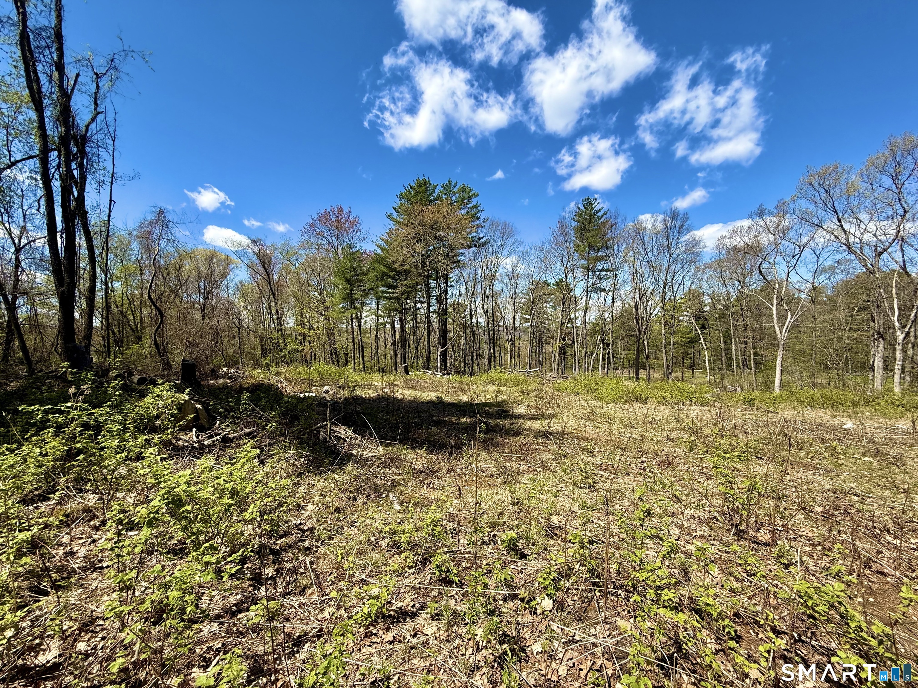 Clearview Avenue Harwinton CT 06791