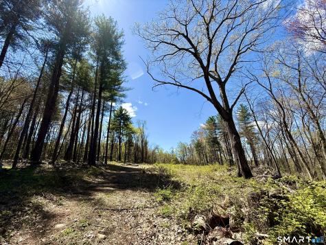 Clearview Avenue Harwinton CT 06791