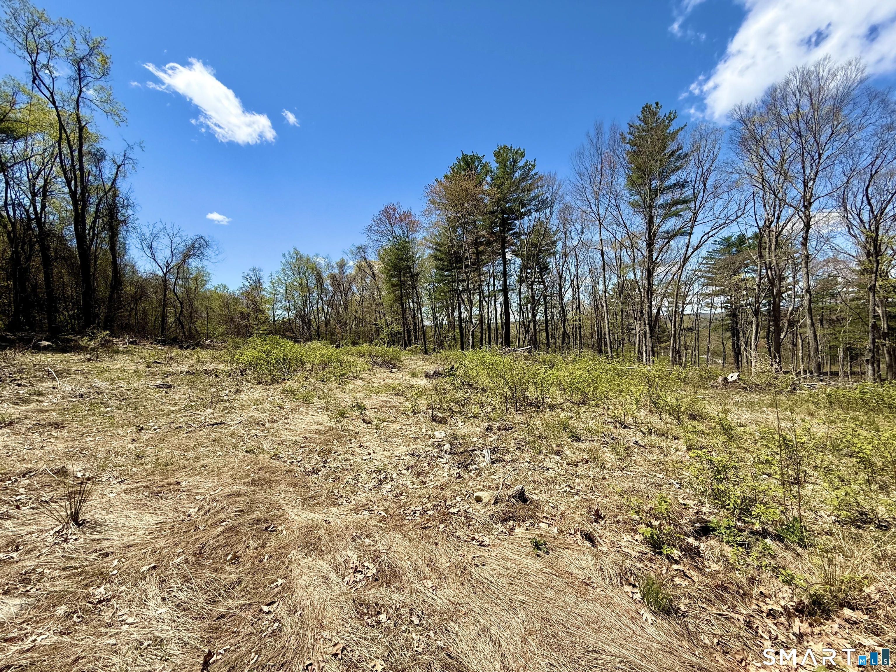 Clearview Avenue Harwinton CT 06791