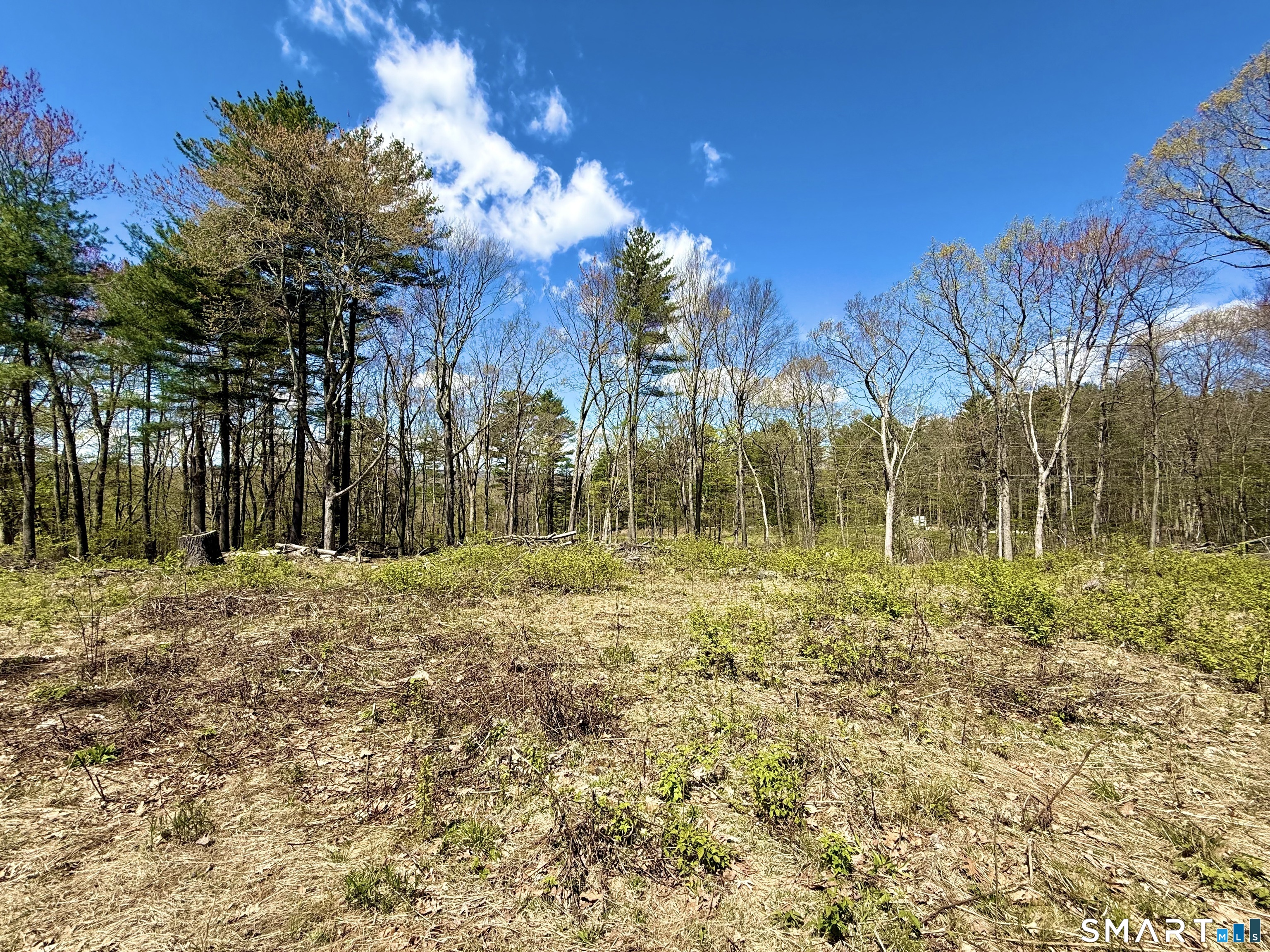 Clearview Avenue Harwinton CT 06791