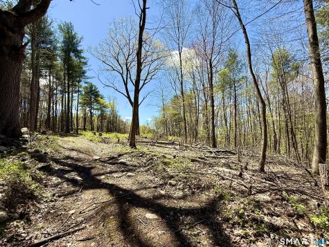 Clearview Avenue Harwinton CT 06791