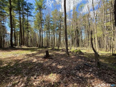 Clearview Avenue Harwinton CT 06791