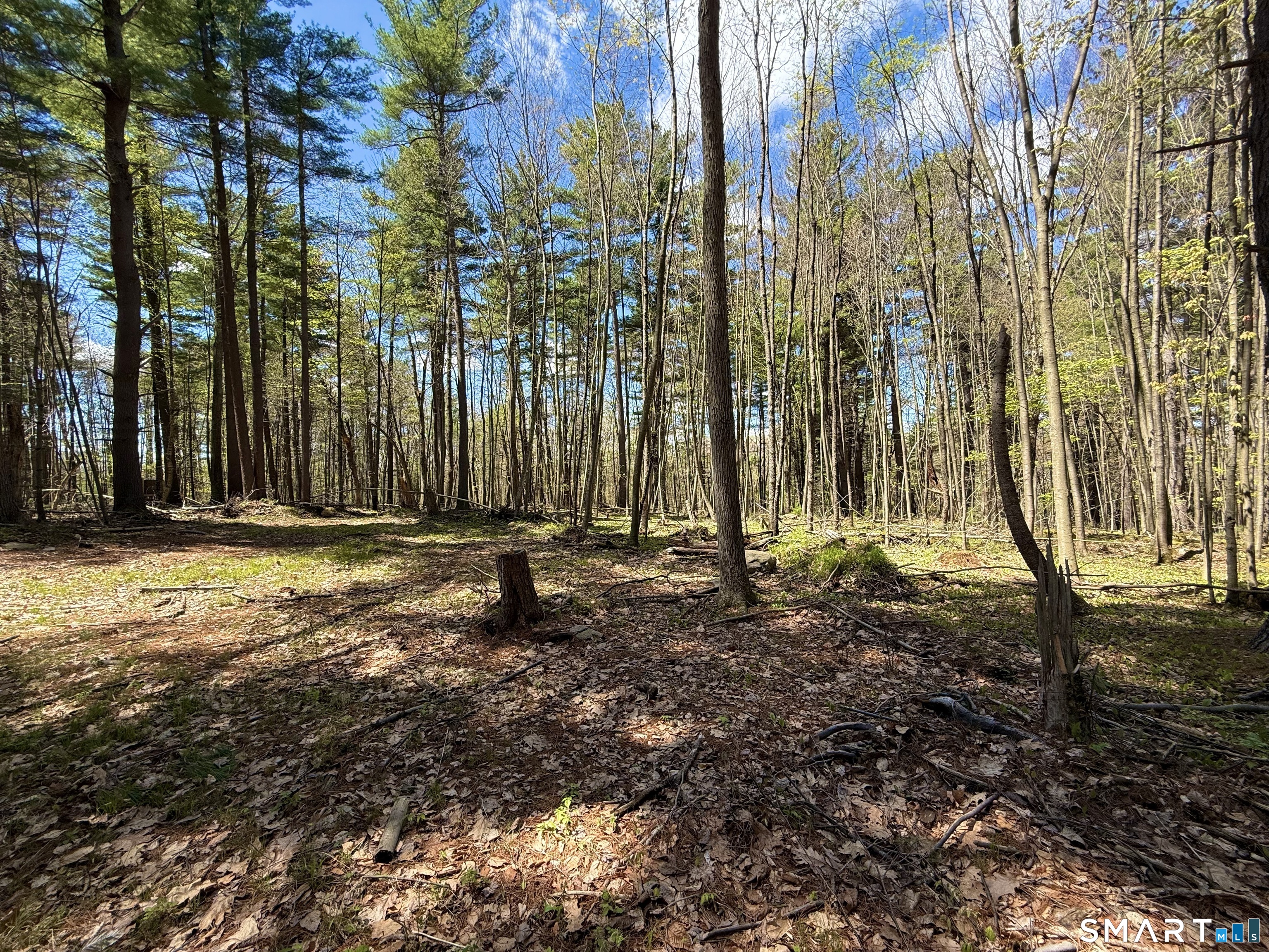 Clearview Avenue Harwinton CT 06791