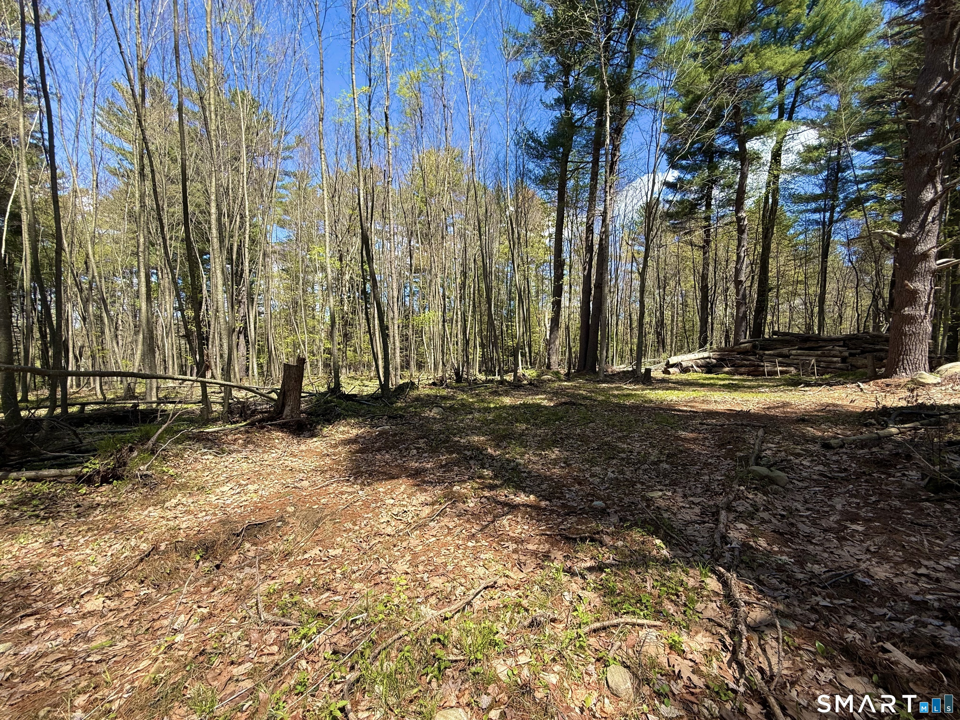 Clearview Avenue Harwinton CT 06791