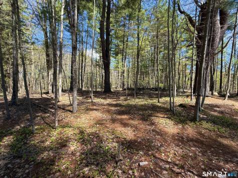 Clearview Avenue Harwinton CT 06791