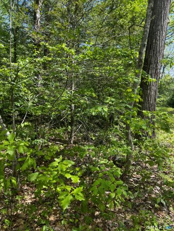 131 Stub Hollow Road New Hartford CT 06057