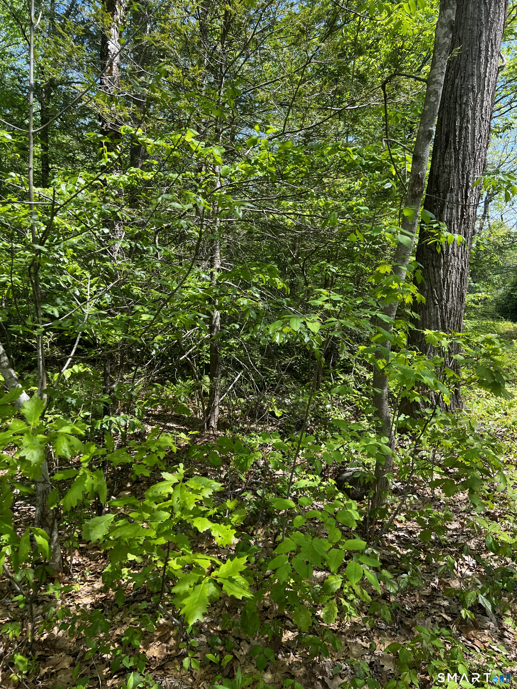 131 Stub Hollow Road New Hartford CT 06057
