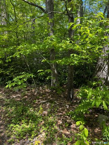 131 Stub Hollow Road New Hartford CT 06057