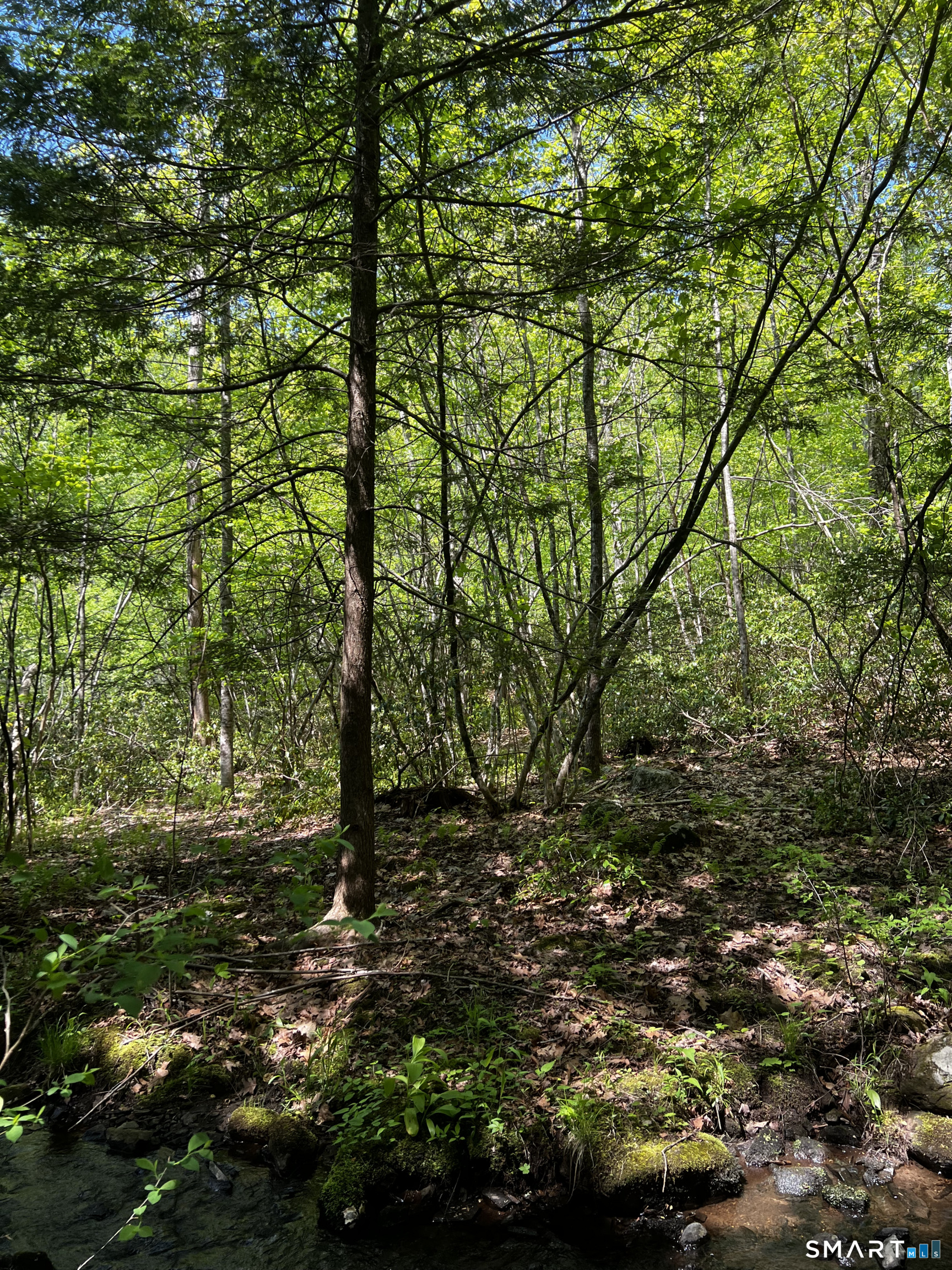 131 Stub Hollow Road New Hartford CT 06057