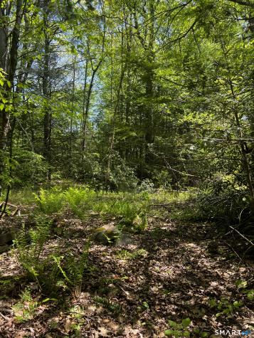 131 Stub Hollow Road New Hartford CT 06057