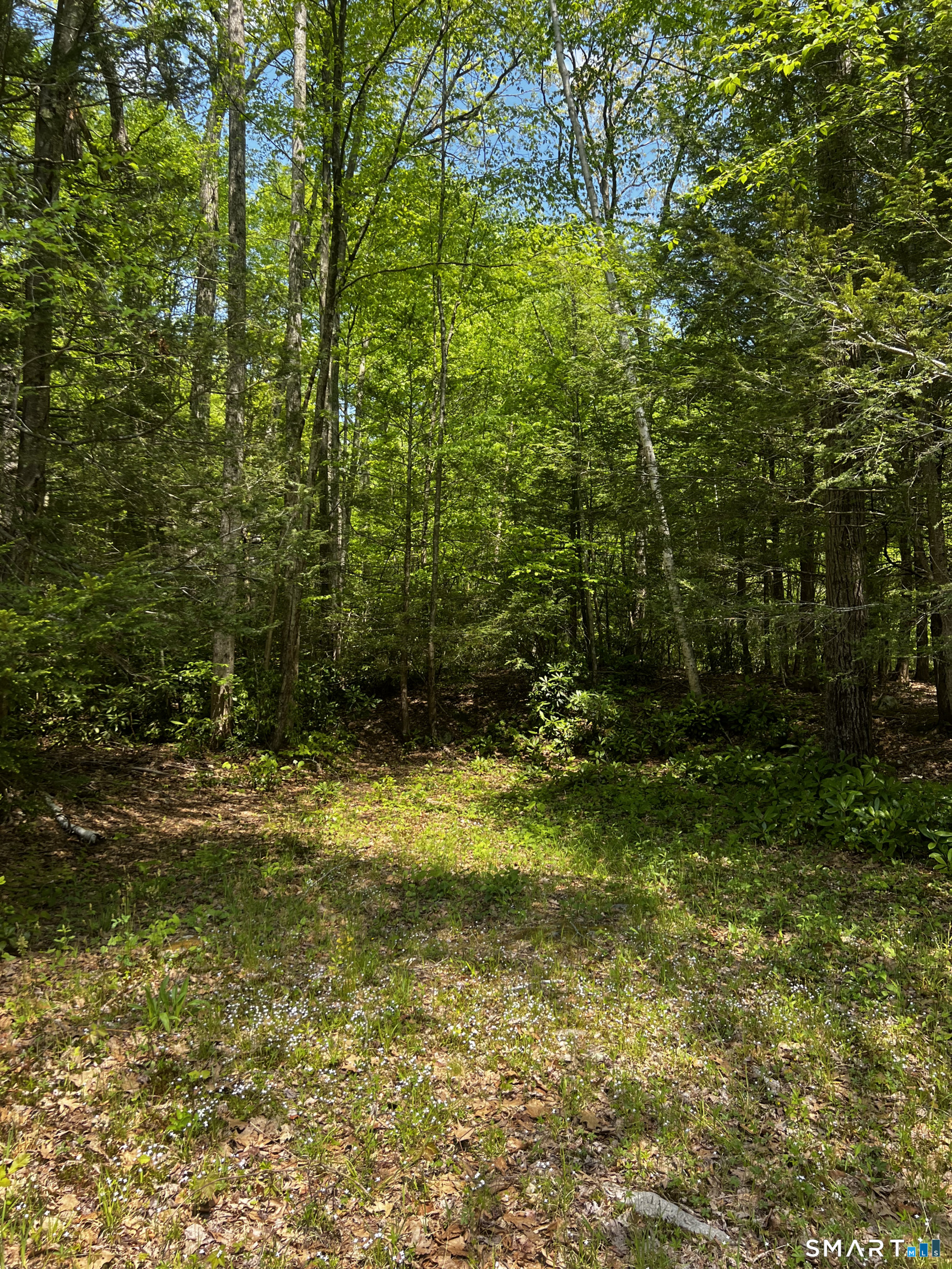 131 Stub Hollow Road New Hartford CT 06057