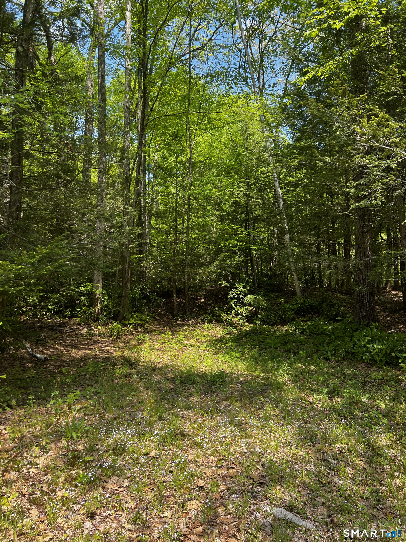 131 Stub Hollow Road New Hartford CT 06057
