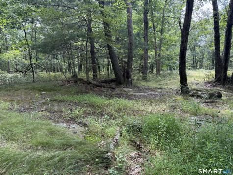 lot 29 Route 32 Route Franklin CT 06254