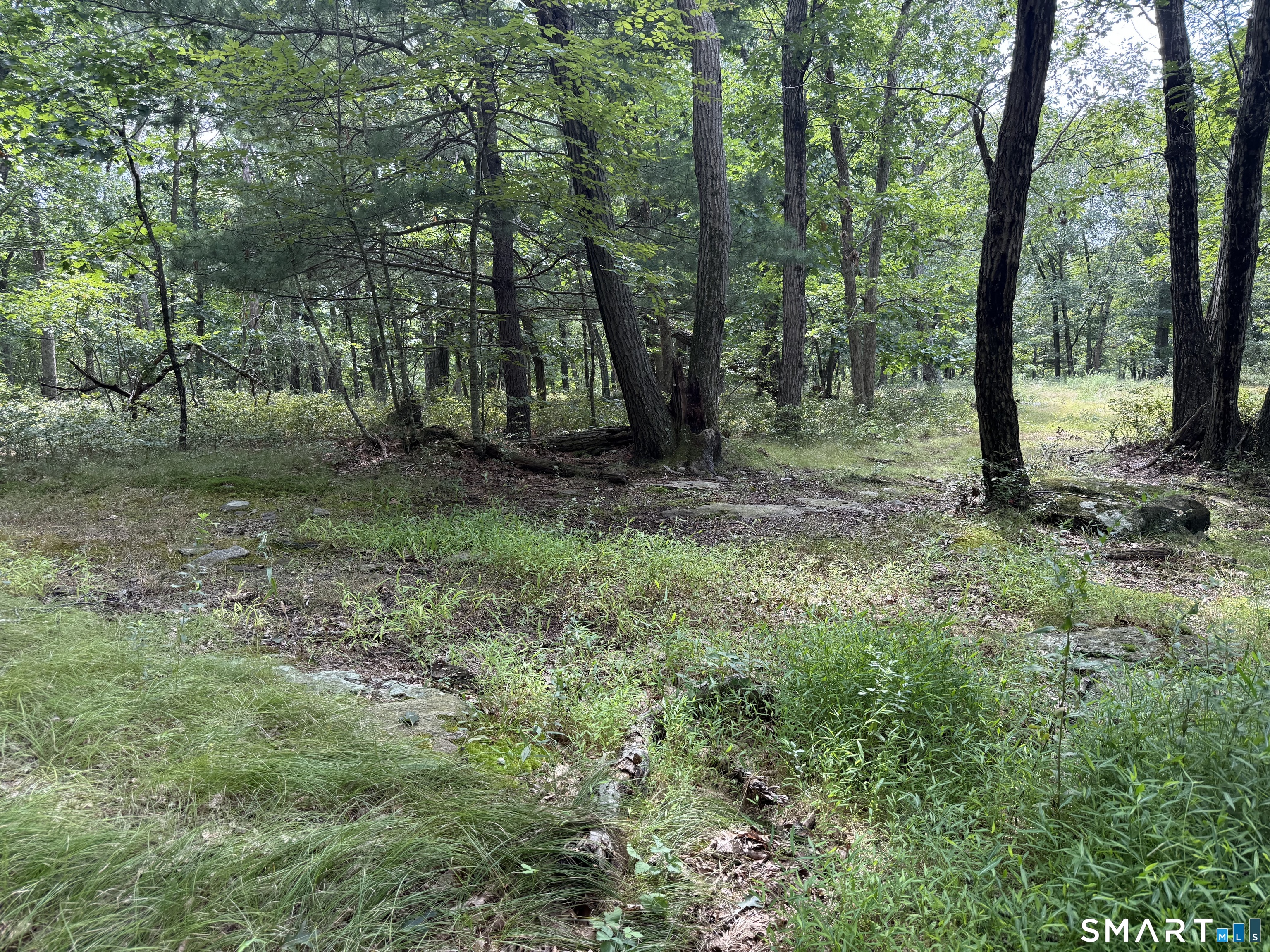 lot 29 Route 32 Route Franklin CT 06254