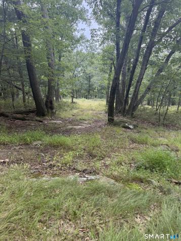 lot 29 Route 32 Route Franklin CT 06254