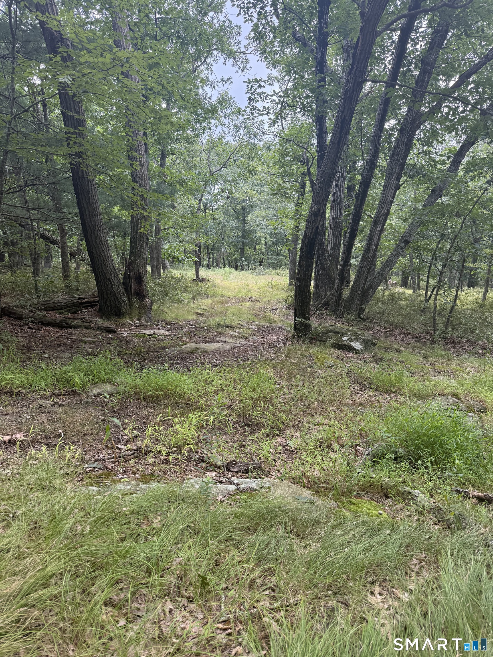 lot 29 Route 32 Route Franklin CT 06254