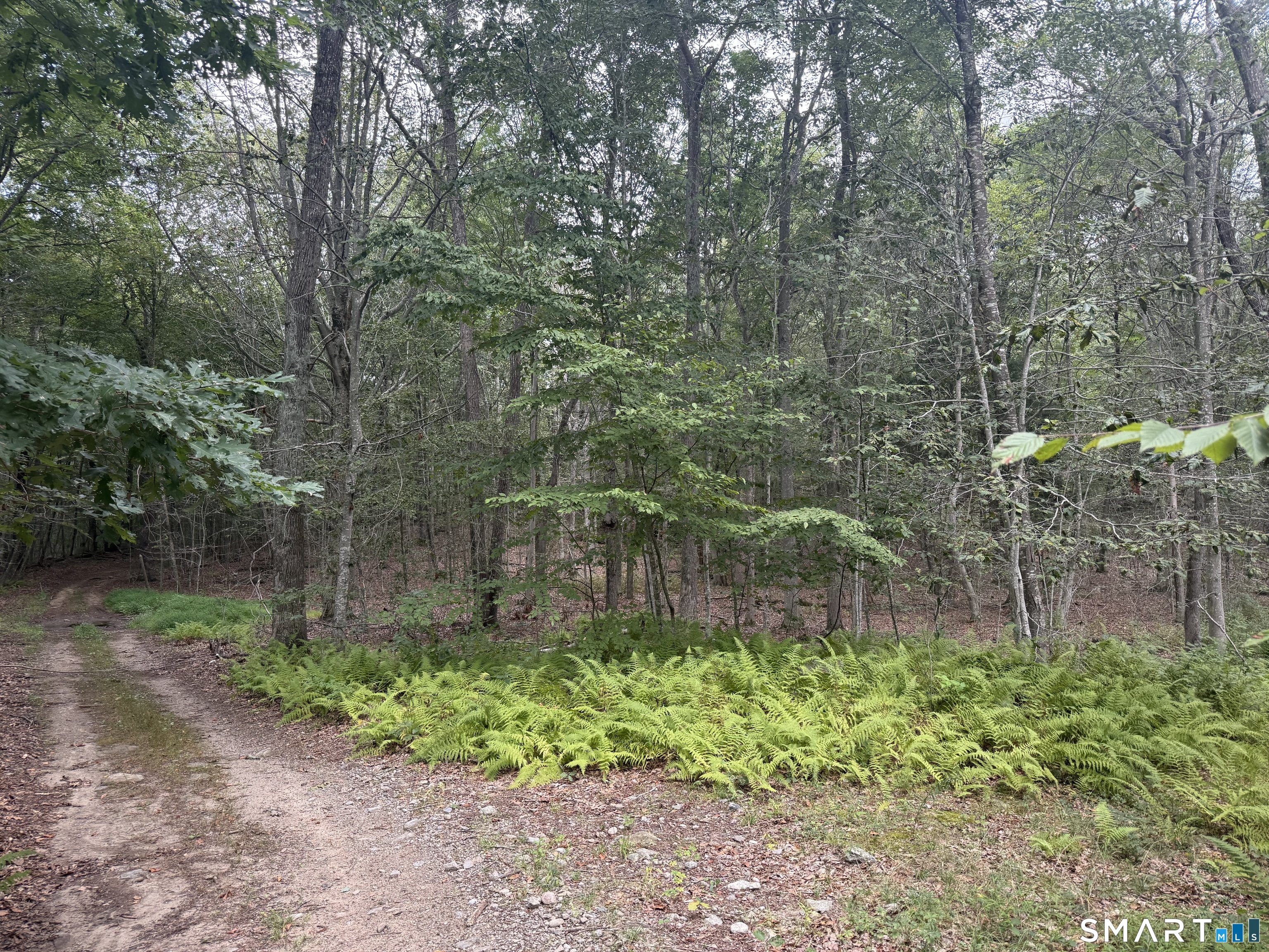 lot 29 Route 32 Route Franklin CT 06254