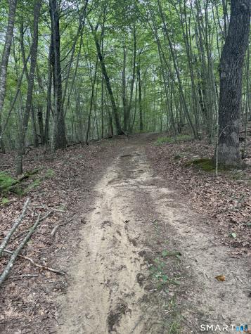 lot 29 Route 32 Route Franklin CT 06254