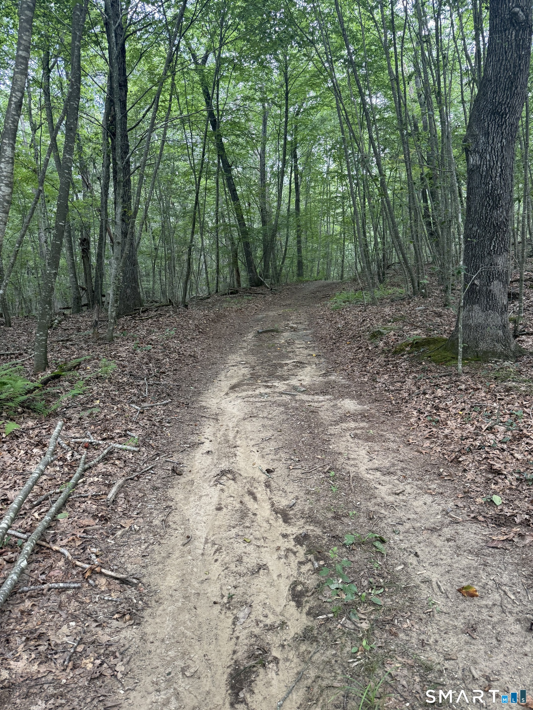 lot 29 Route 32 Route Franklin CT 06254