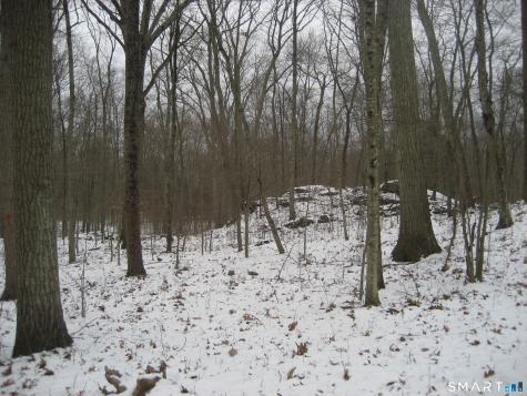 Salt Rock Road Sprague CT 06330