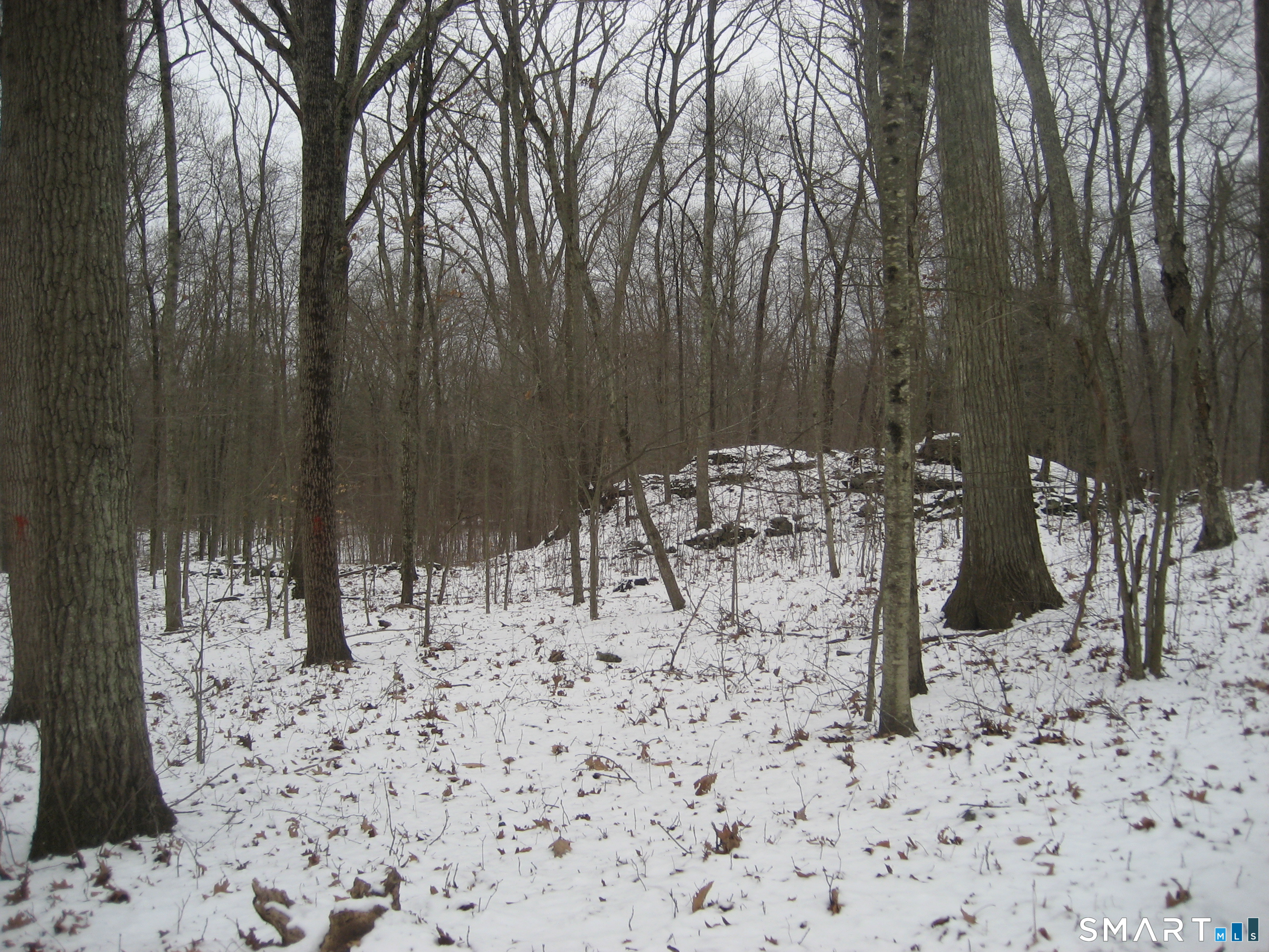 Salt Rock Road Sprague CT 06330