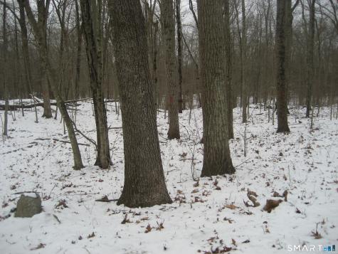 Salt Rock Road Sprague CT 06330