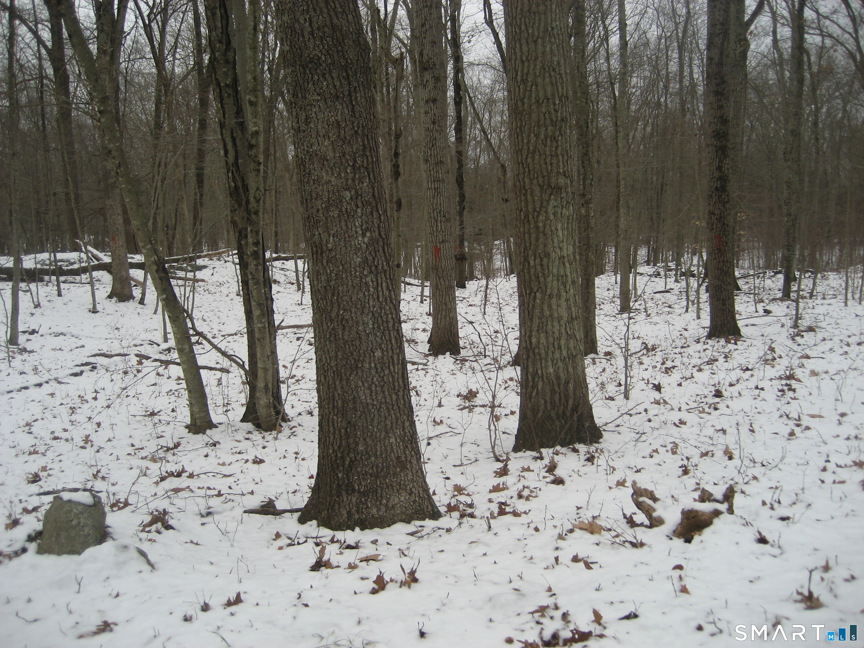 Salt Rock Road Sprague CT 06330