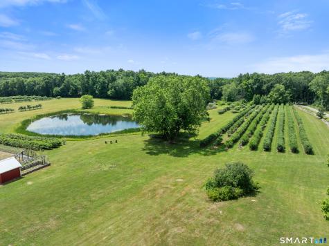 317 Bebbington Road Ashford CT 06278