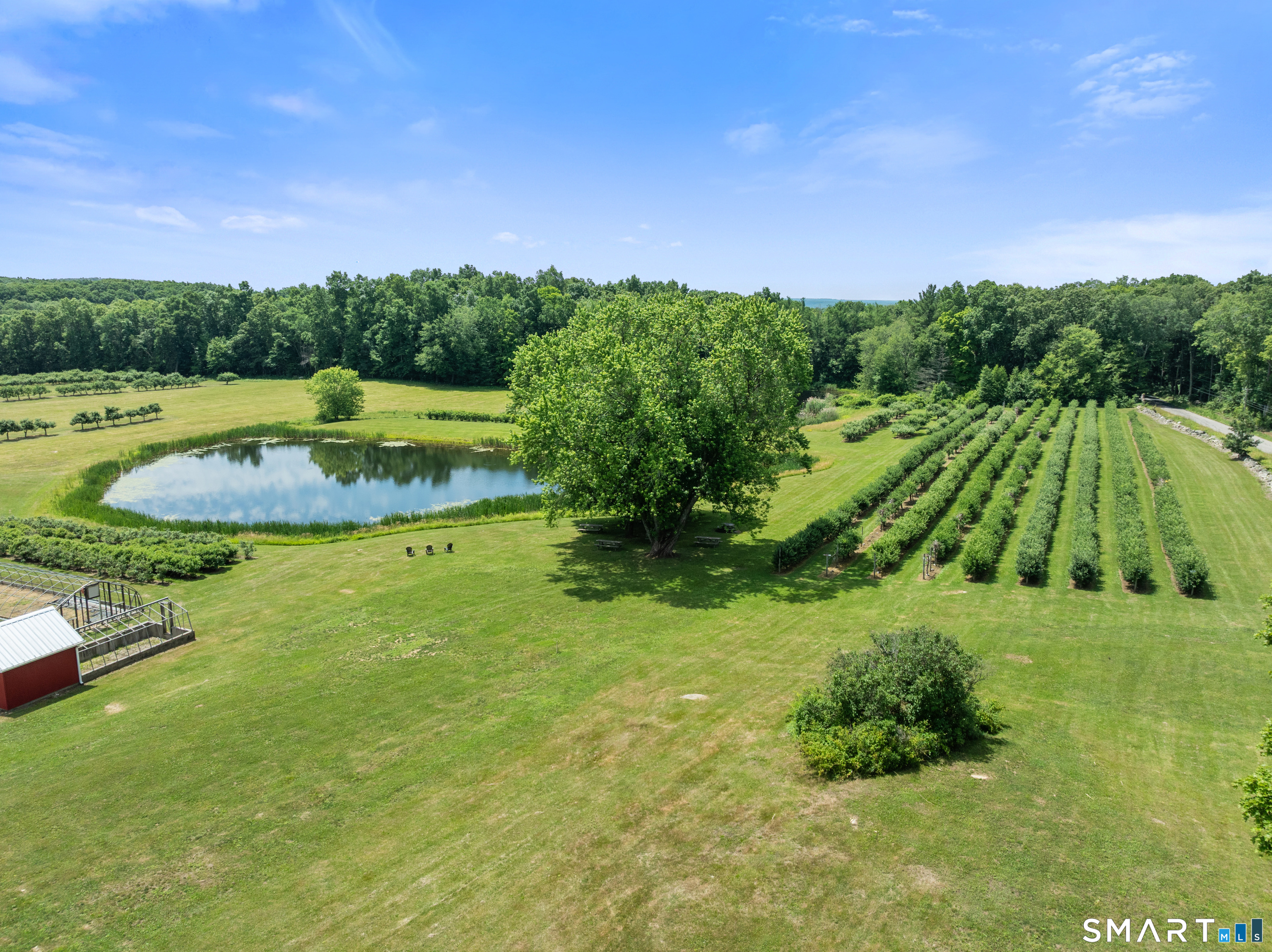 317 Bebbington Road Ashford CT 06278