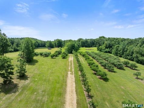 317 Bebbington Road Ashford CT 06278