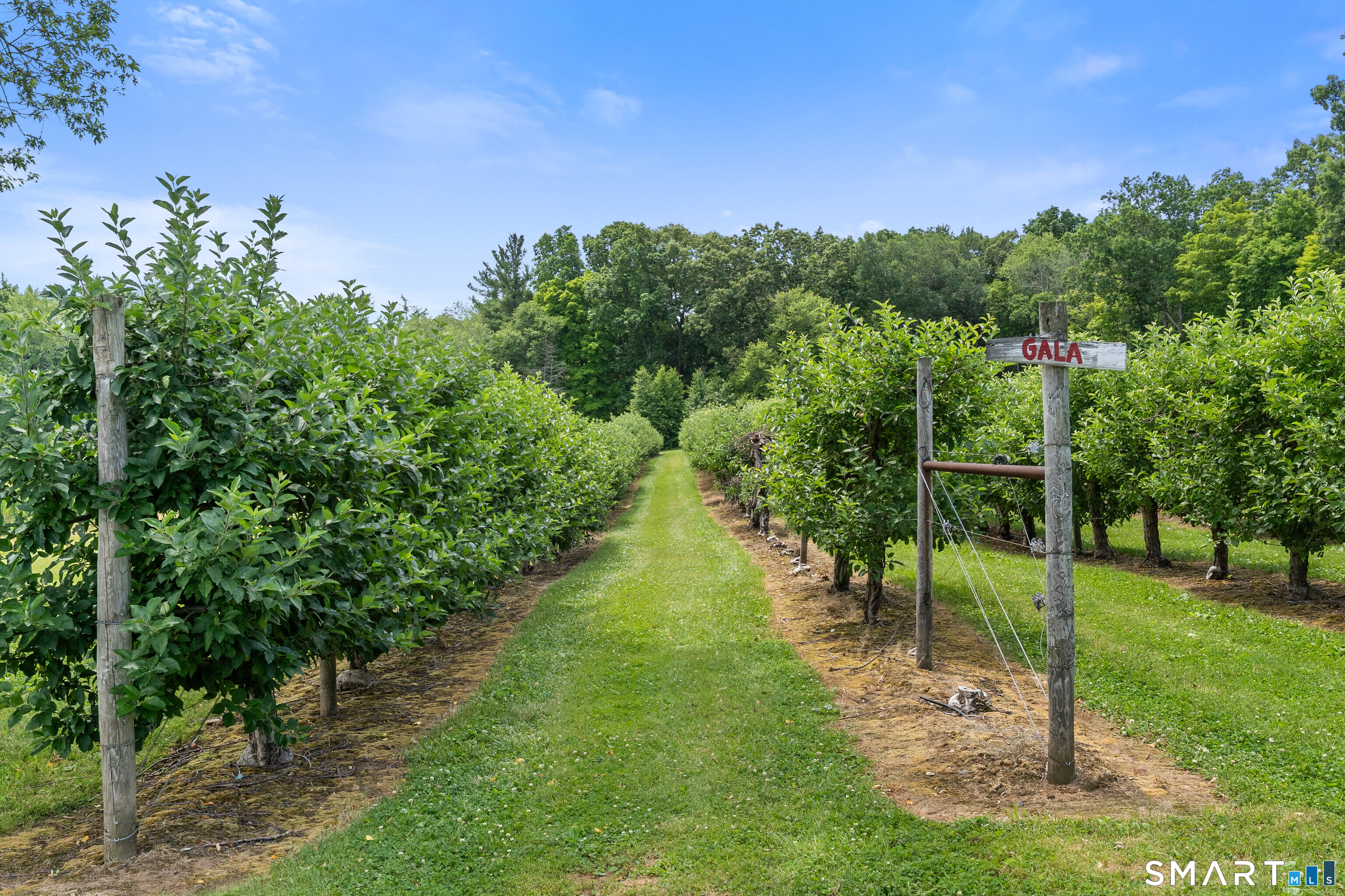 317 Bebbington Road Ashford CT 06278