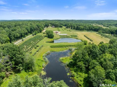 317 Bebbington Road Ashford CT 06278