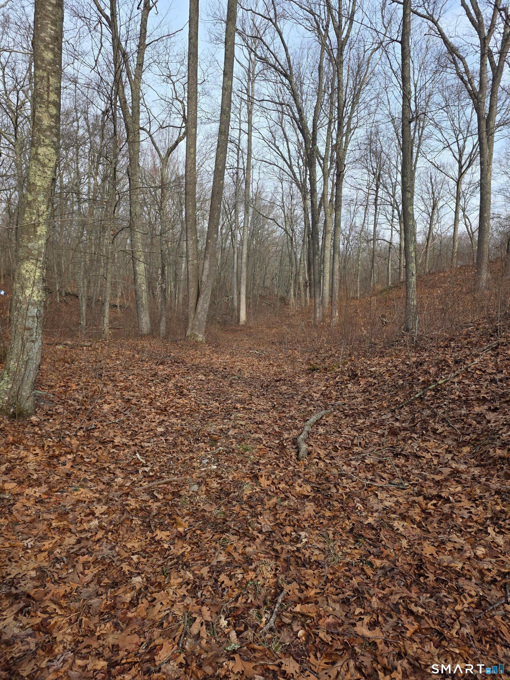 Brainard Road Westbrook CT 06498