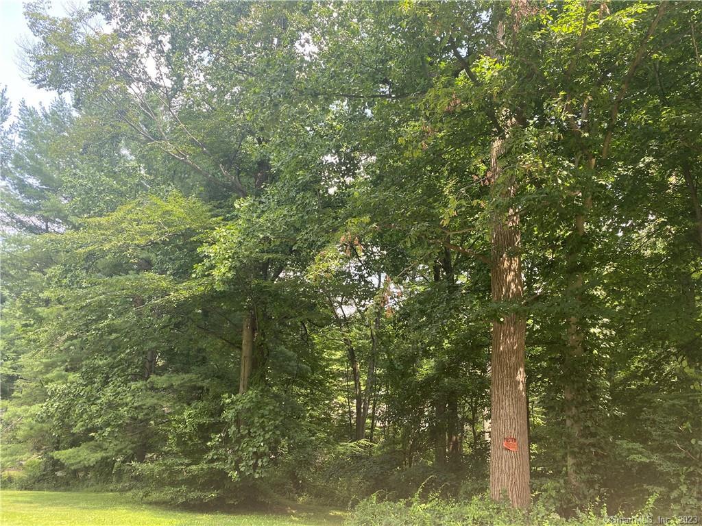 45 Saddle Rock Road Danbury CT 06811