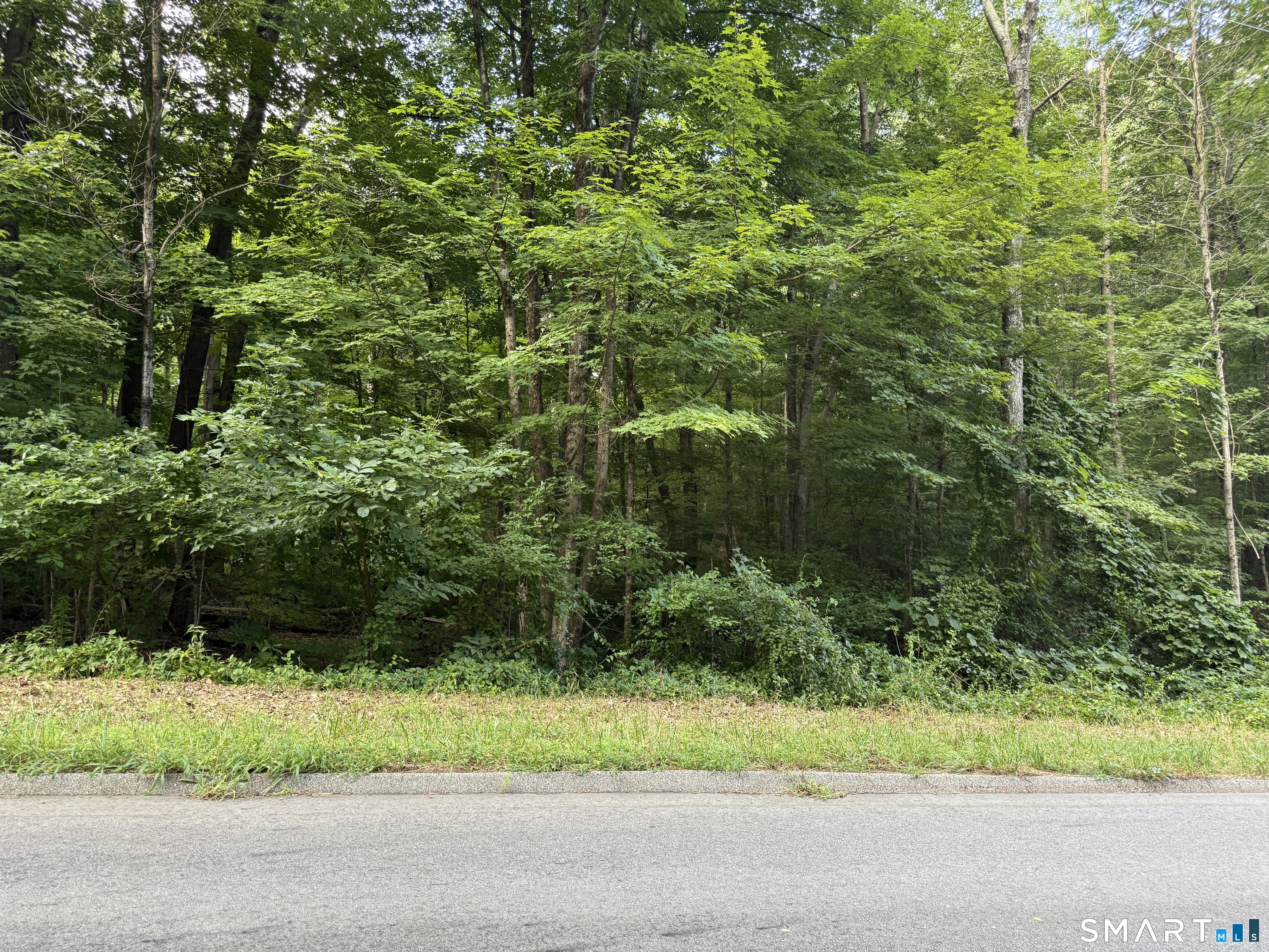 Gaulin Road Columbia CT 06237