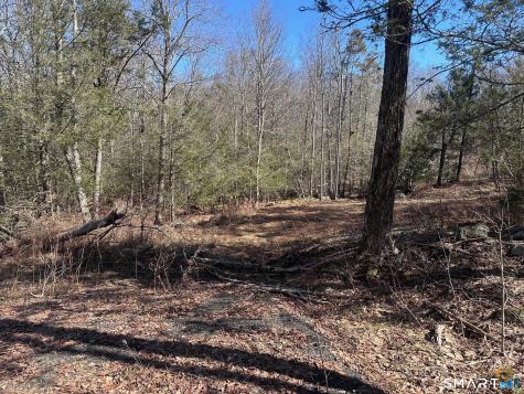302 Gillette Road New Hartford CT 06057