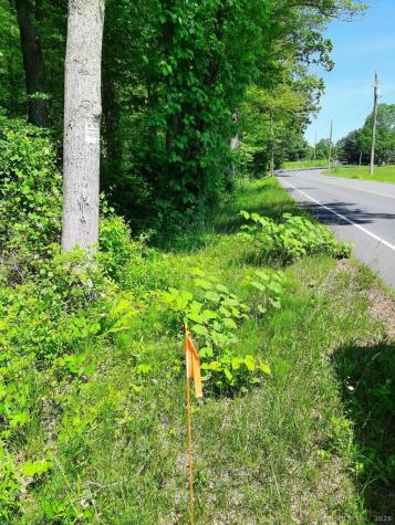 Mullen Road Enfield CT 06082