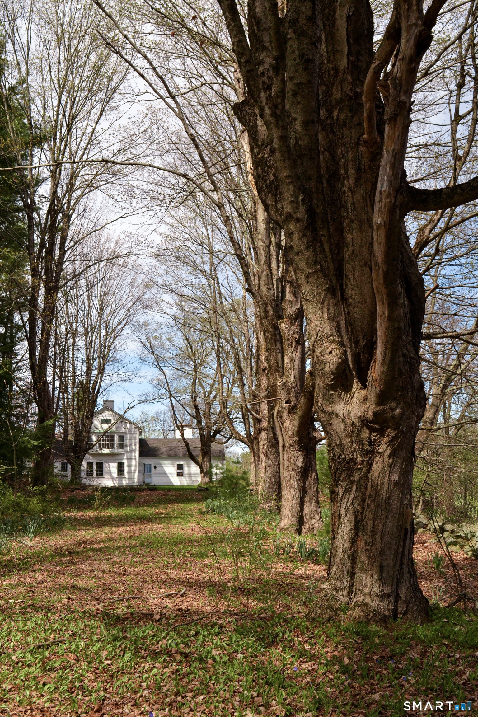 Winchester CT 06098