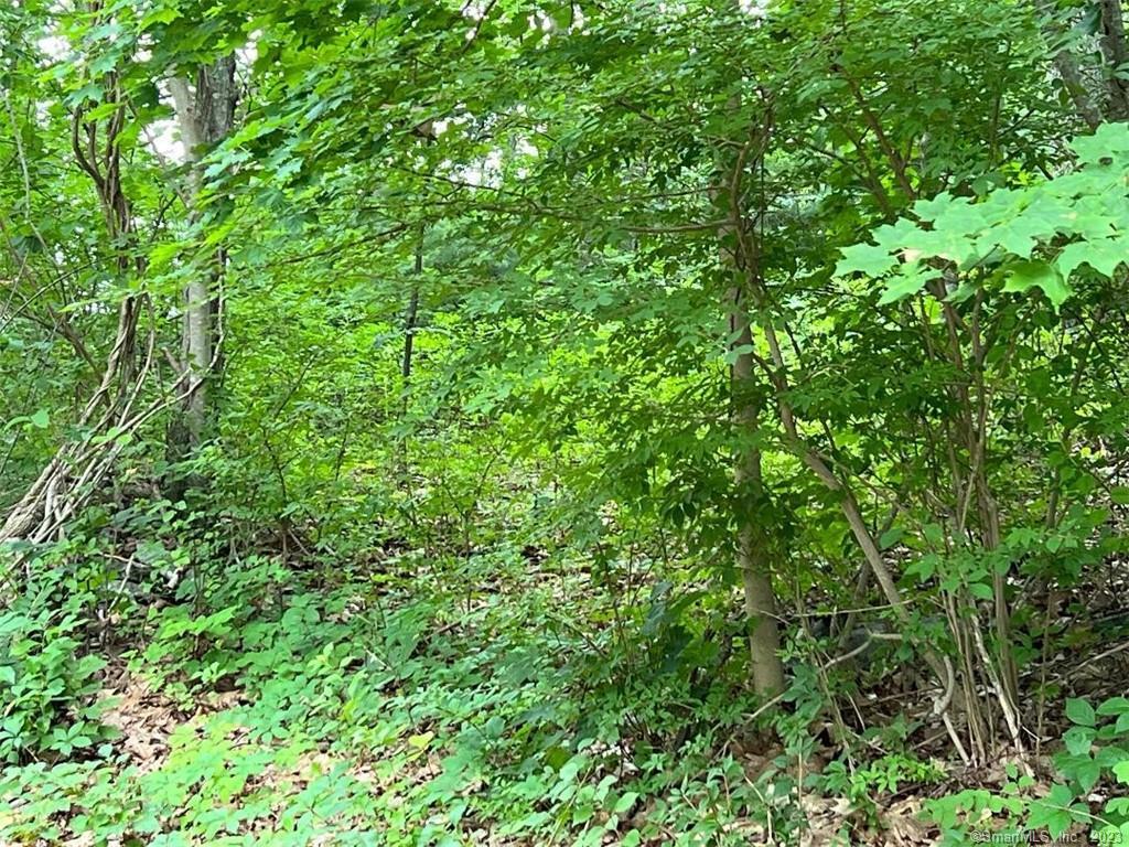 426 Cox Road Portland CT 06480