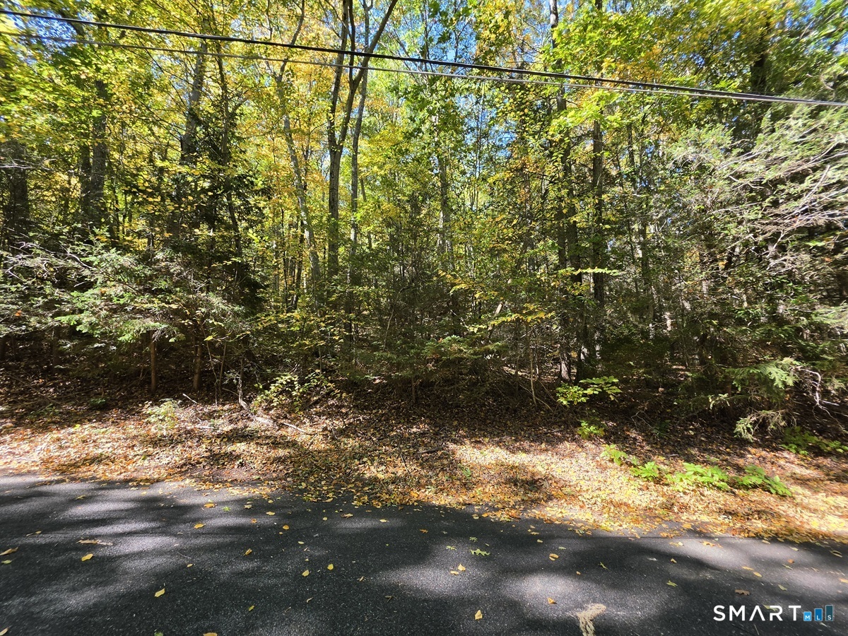 35 Blue Ridge Mountain Drive Somers CT 06071