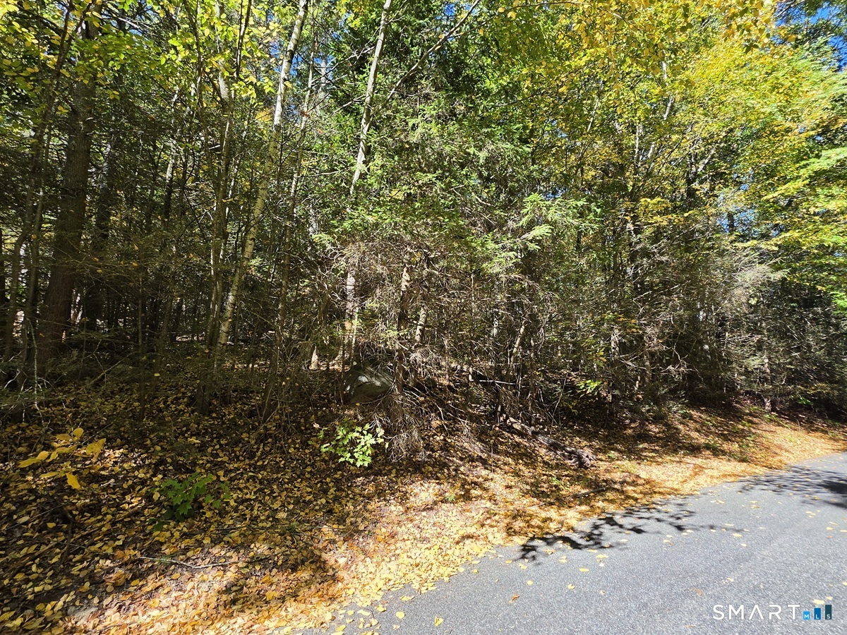 35 Blue Ridge Mountain Drive Somers CT 06071