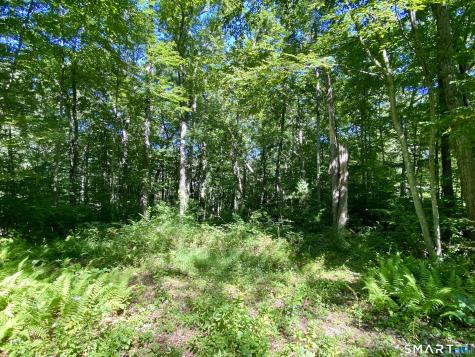 86 Seagraves Road Coventry CT 06238