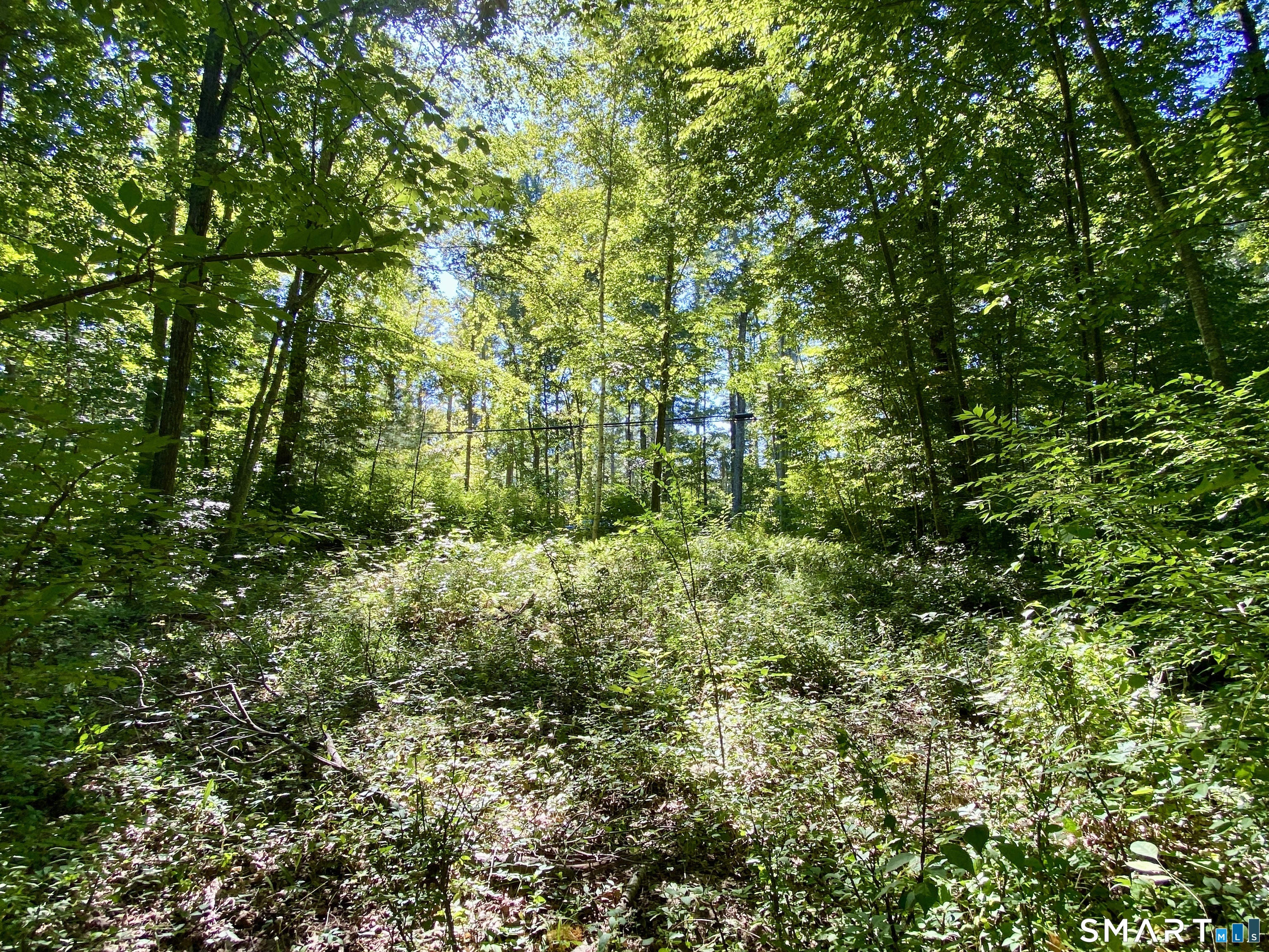 86 Seagraves Road Coventry CT 06238
