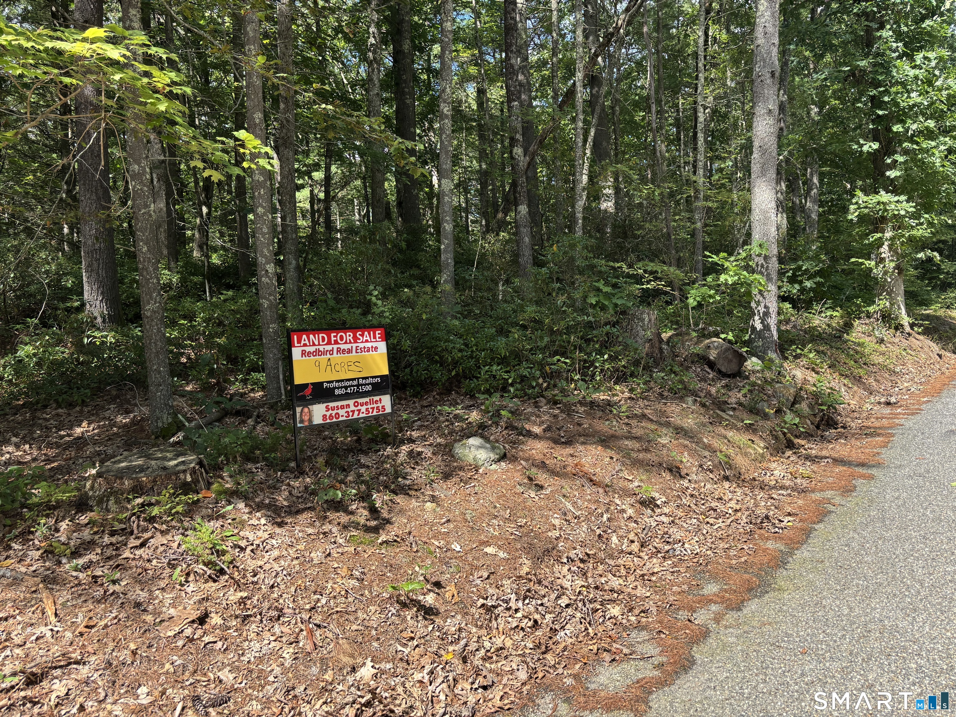 Rindge Road Union CT 06076