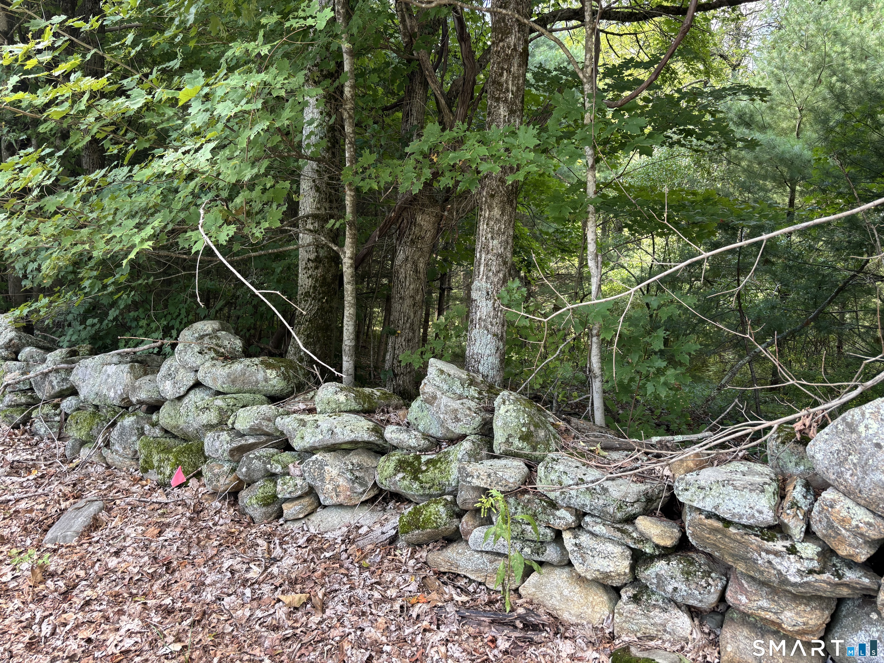 Rindge Road Union CT 06076