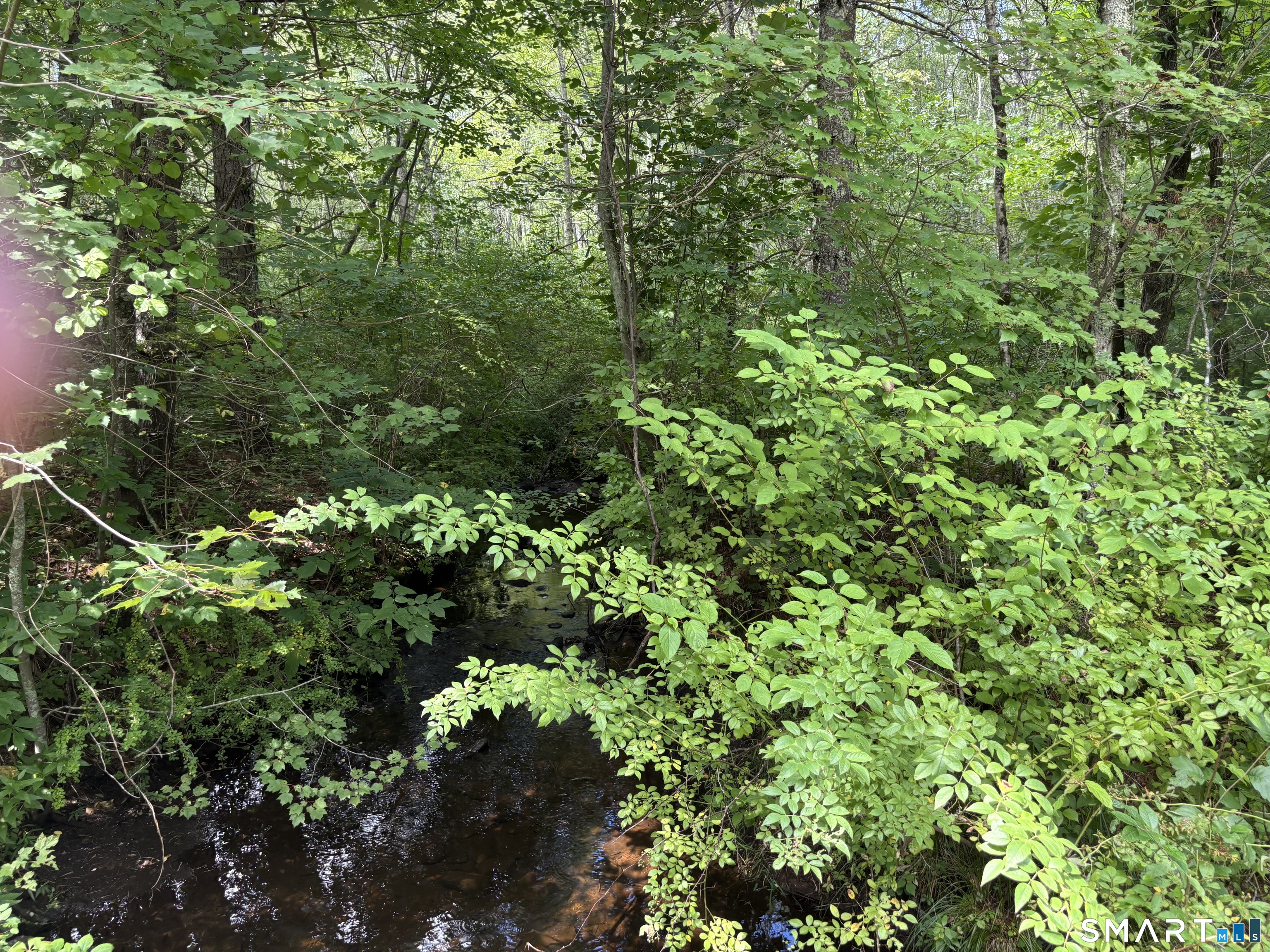 Rindge Road Union CT 06076