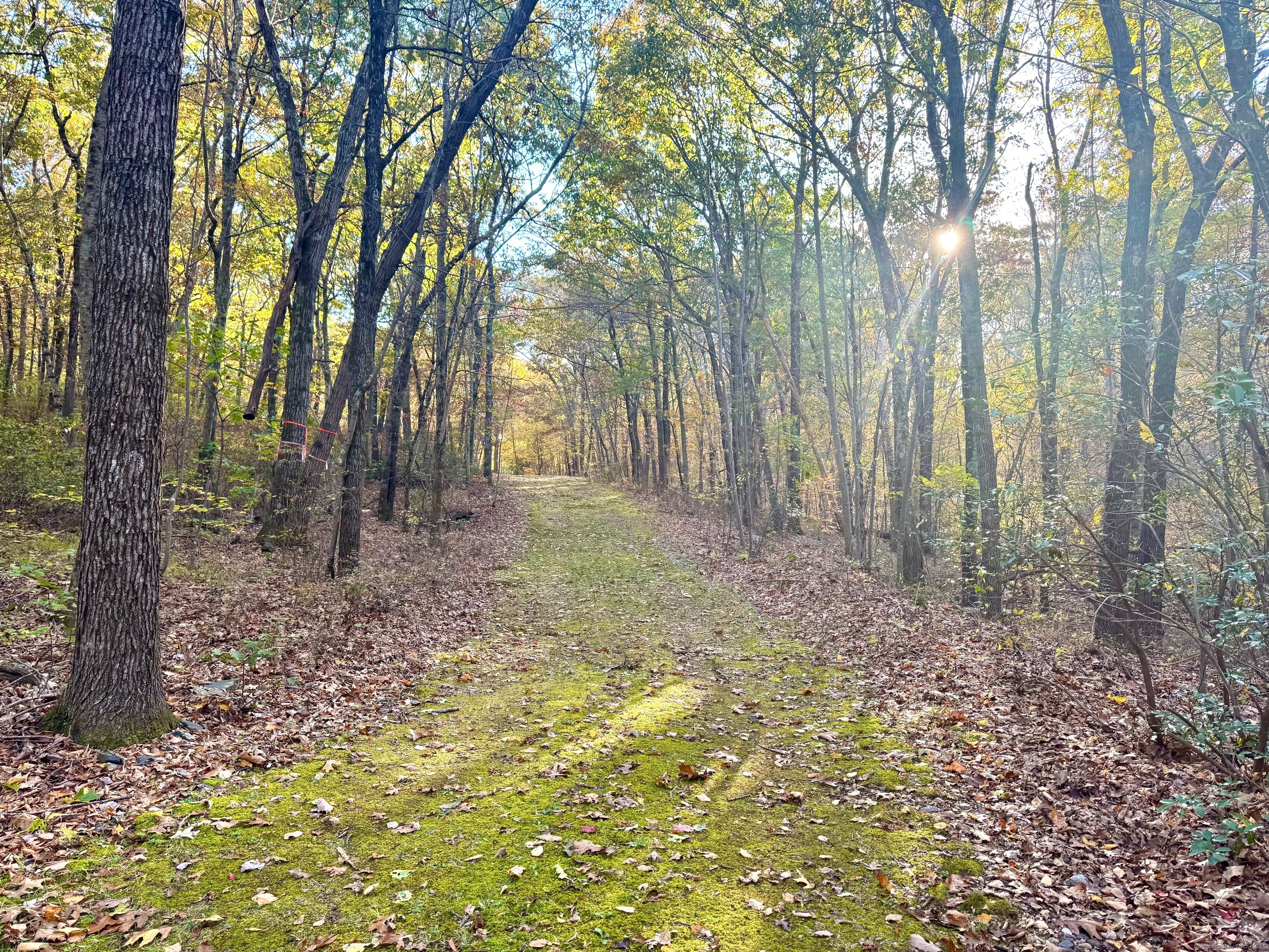 Mountain Laurel Drive Middletown CT 06457