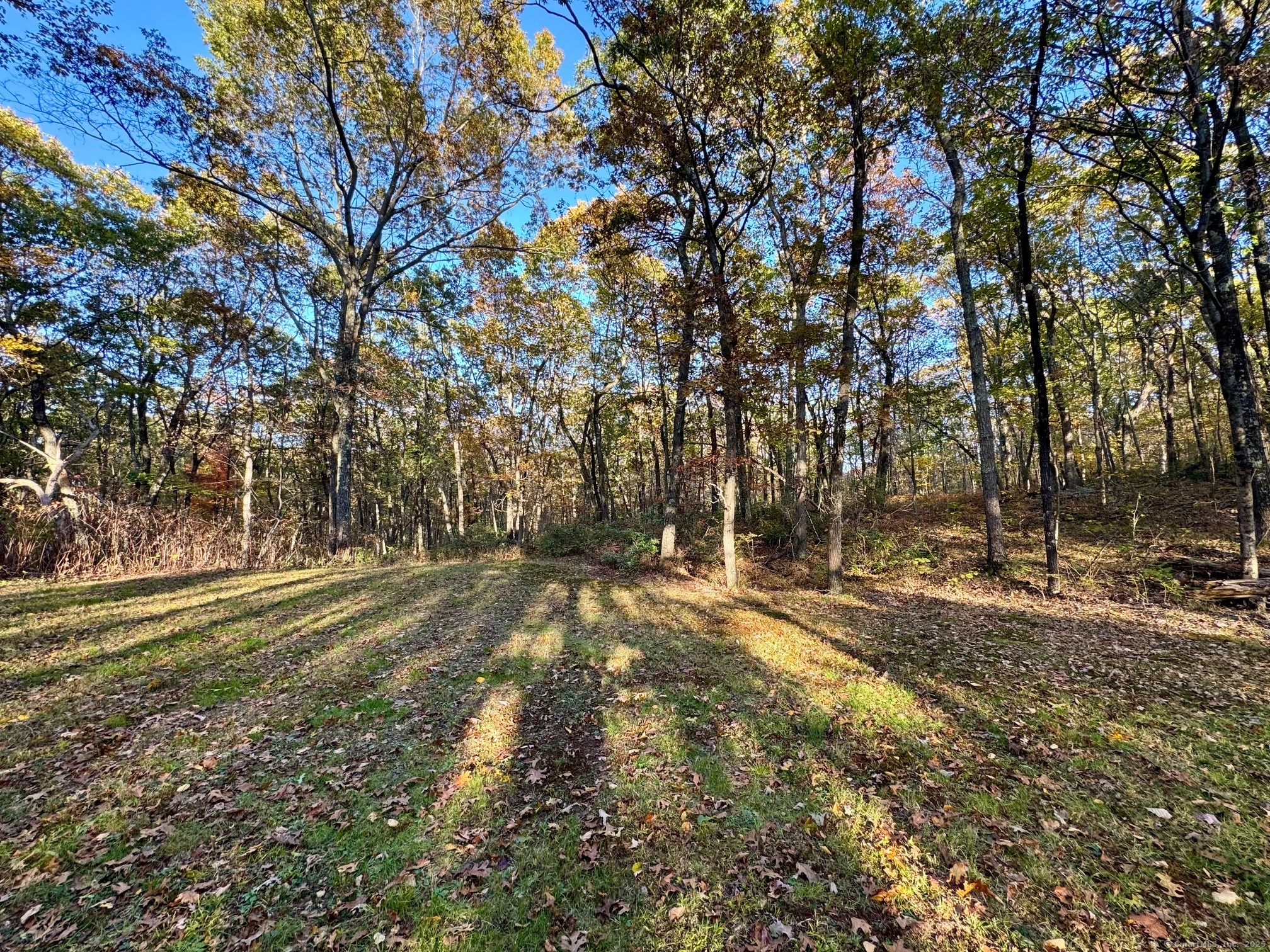 Mountain Laurel Drive Middletown CT 06457