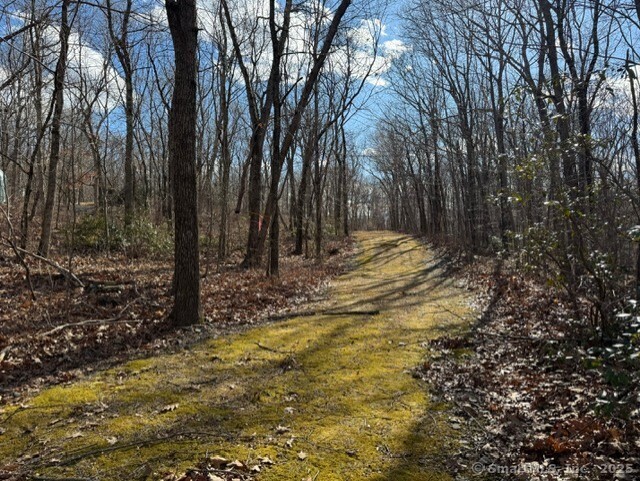 Mountain Laurel Drive Middletown CT 06457