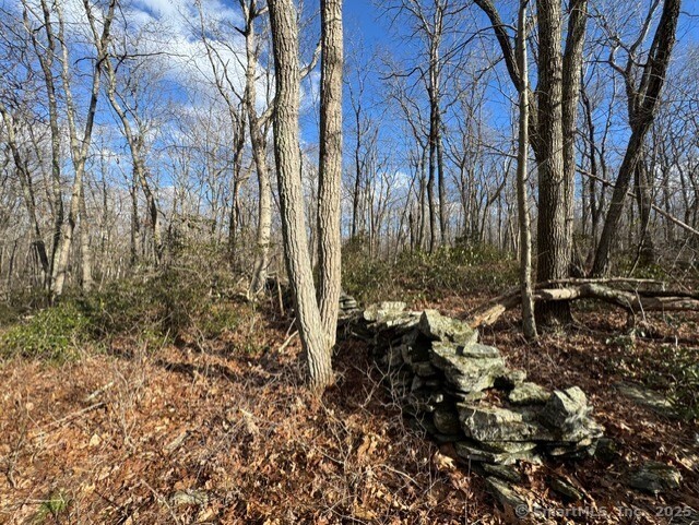 Mountain Laurel Drive Middletown CT 06457